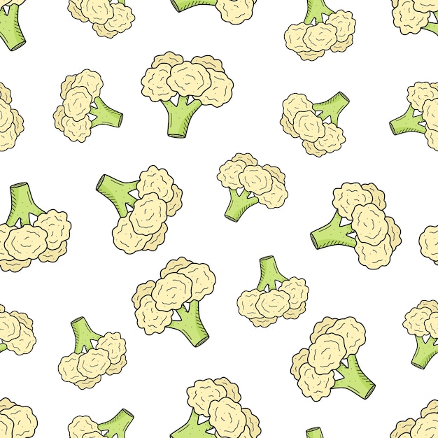 Vector seamless pattern cauliflower doodle vector drawing cabbage background