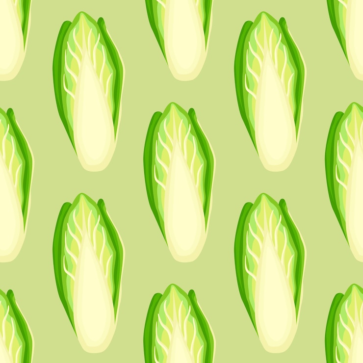 Vector seamless pattern chicory cabbage on pastel green background. simple ornament with lettuce. random plant template for fabric. design vector illustration.