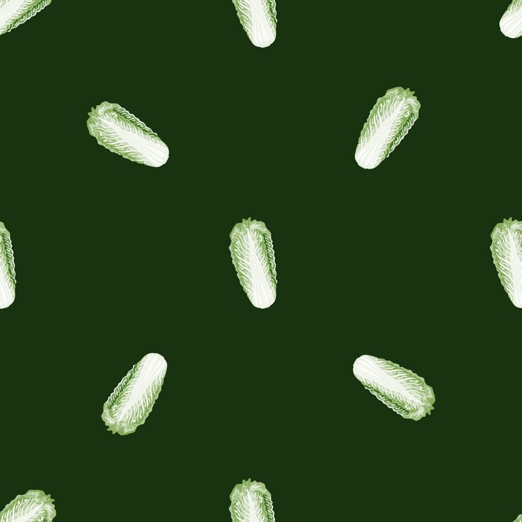 Vector seamless pattern chinese cabbage on dark green background. minimalism ornament with lettuce.
