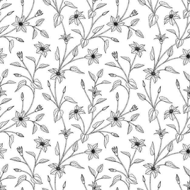 Seamless pattern clematis floral hand drawn illustration