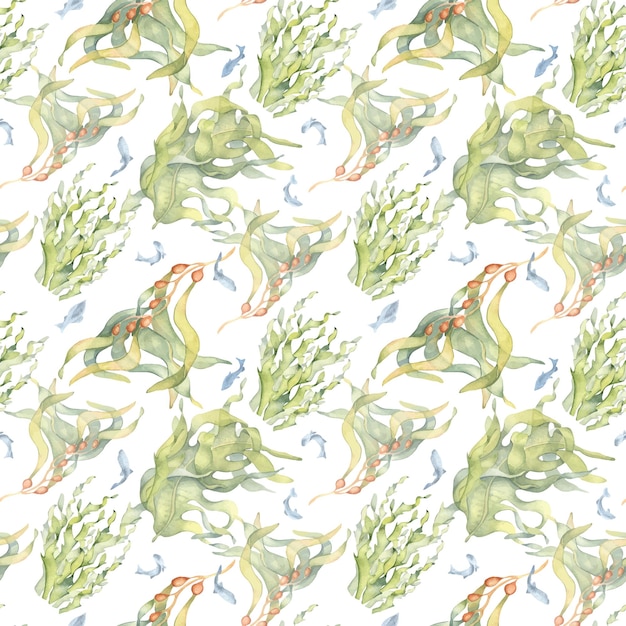 Seamless pattern of colorful sea plants watercolor illustration isolated on white Laminaria kelp