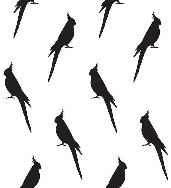 Seamless pattern of corella cockatiel parrot silhouettes