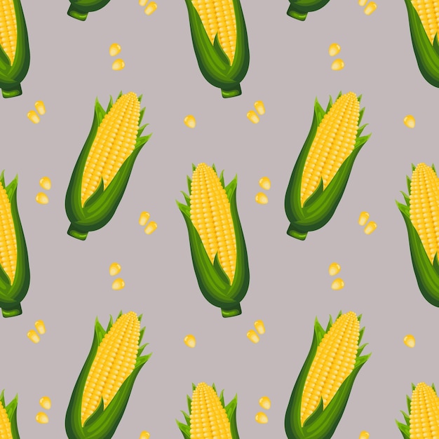 Seamless pattern, corn cobs with leaves and corn kernels. Agriculture concept. Background, print