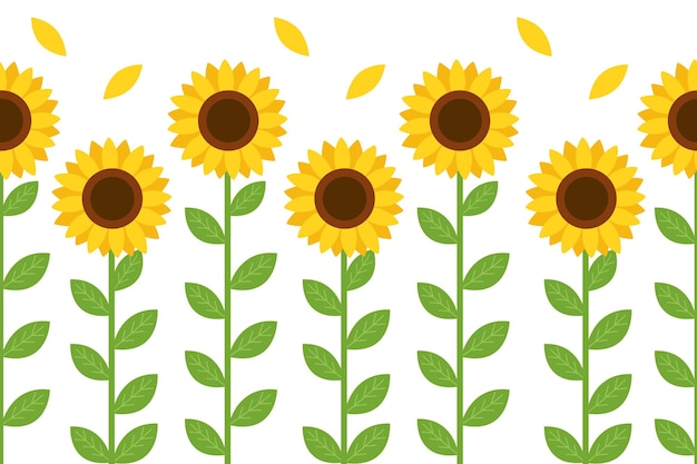 The seamless pattern of cute sunflower on the white background