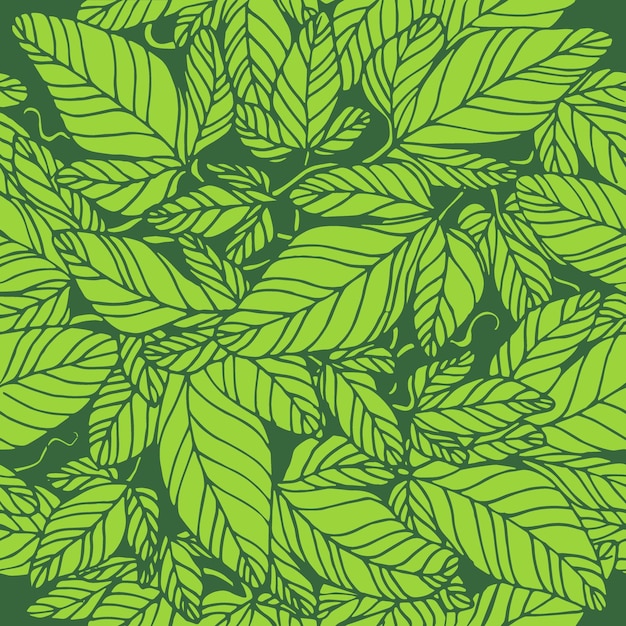 Rami di edera decorativi senza cuciture con foglie. illustrazione vettoriale