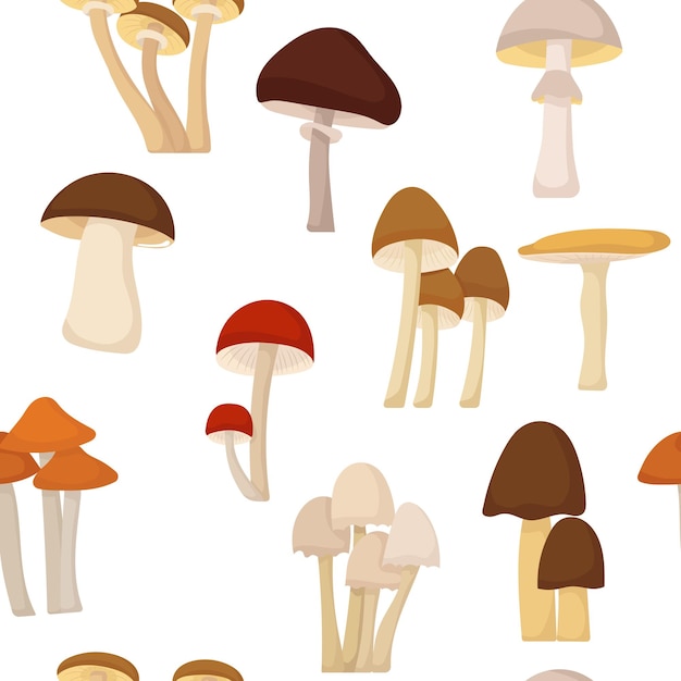Бесшовный рисунок различных грибов на белом фоне вектора