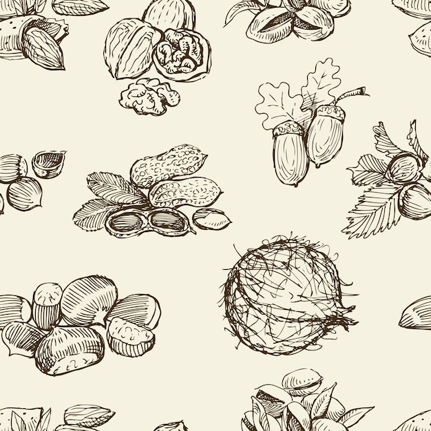 Seamless pattern of the different nuts