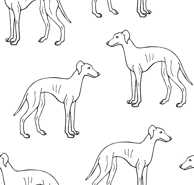 Seamless pattern of dogs