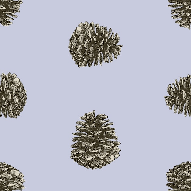 Vector seamless pattern of drawn fir cones