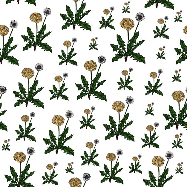 Seamless pattern drawn green dandelion with yellow flowers cartoon sketch on a white background