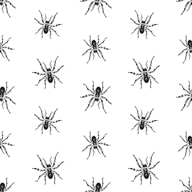 Seamless pattern of drawn poisonous spiders