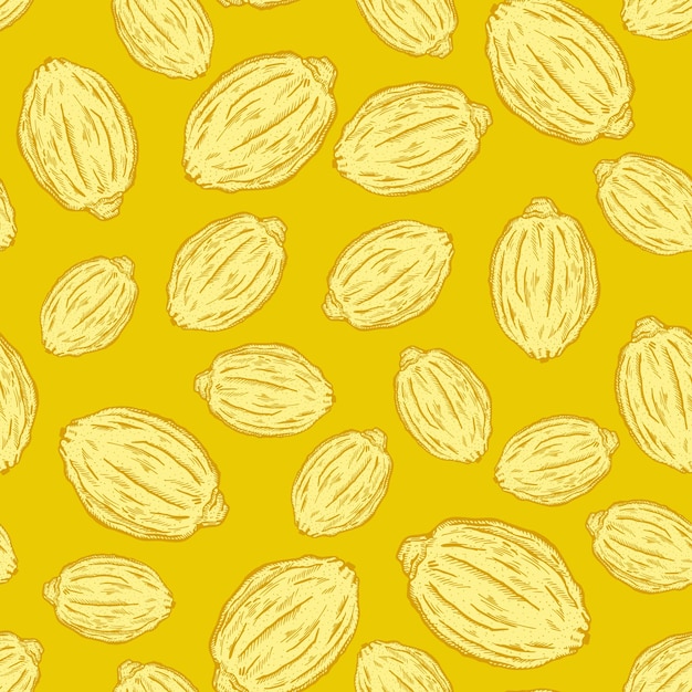 Seamless pattern engraved lemons Vintage background citrus fruit in hand drawn style Whole lemon or lime sketch