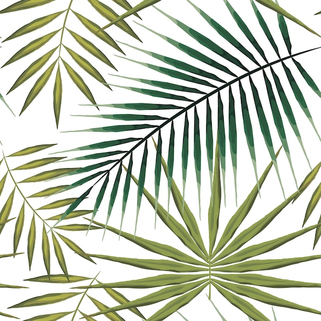 Seamless pattern of exotic palm trees Green leaves on white background Tropical pattern