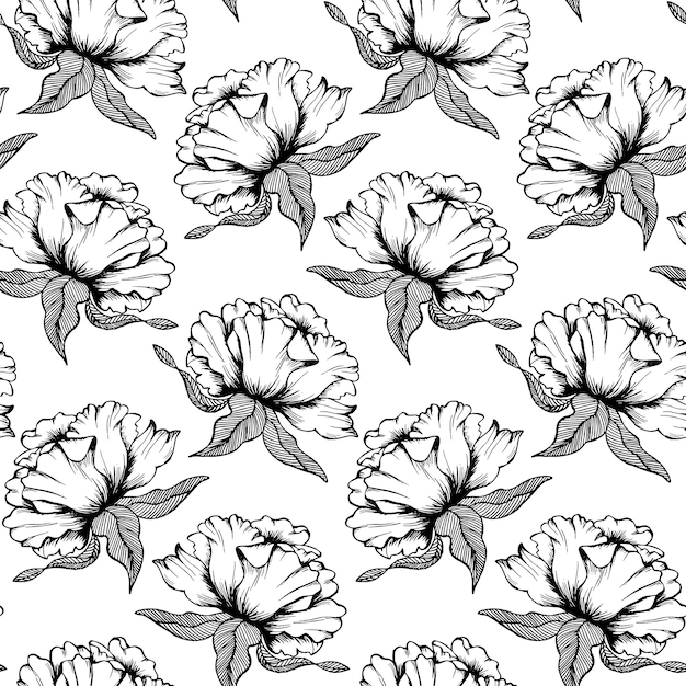 Seamless pattern floral print black line drawing of peonies on a white background