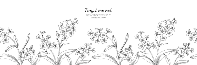 Seamless pattern forget me not flower and leaf hand drawn botanical illustration with line art.