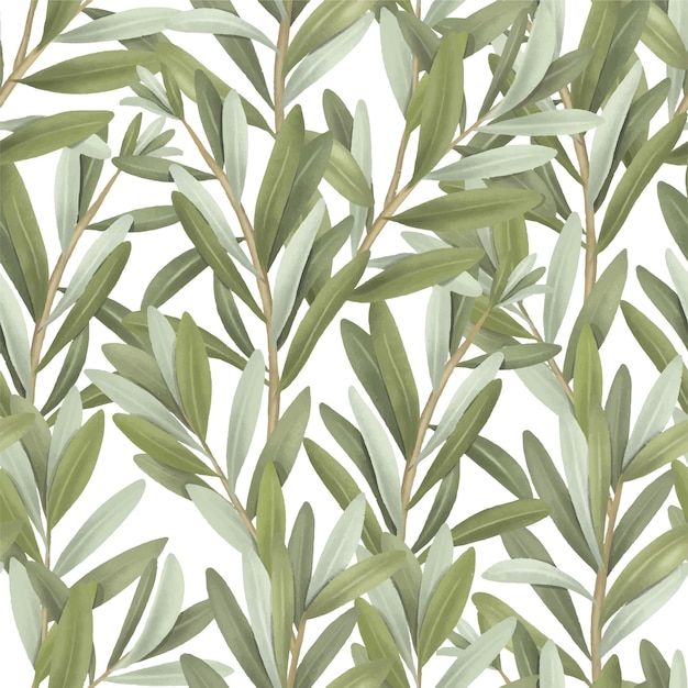 Seamless pattern of green olive tree branches hand drawn illustration on white background