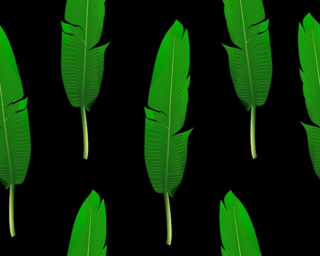 Vector seamless pattern of green realistic strelitzia leaves wrapping packaging products