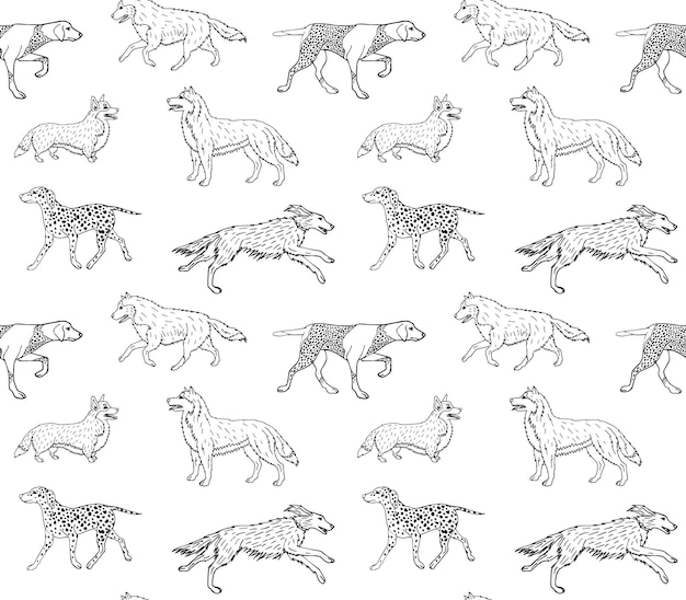Seamless pattern of hand drawn different dogs