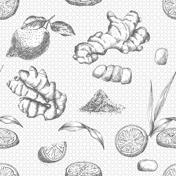 Вектор бесшовный рисунок, нарисованный вручную из имбирных корней, лимона, жизни и цветов в черном цвете на белом фоне. ретро-винтажный графический дизайн. ботанический эскиз, рисунок в стиле гравировки.