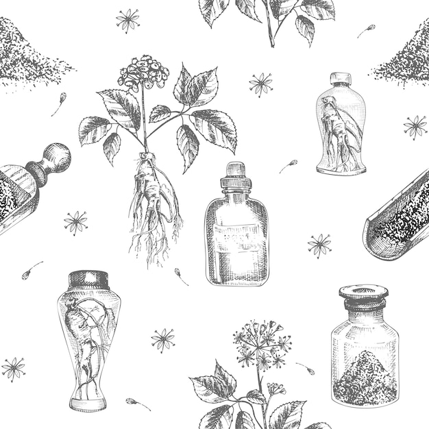 Vector seamless pattern hand drawn of ginseng roots lives and flowers in black color isolated on white background retro vintage graphic design botanical sketch drawing engraving style