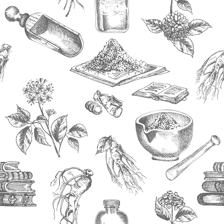 Vector seamless pattern hand drawn of ginseng roots lives and flowers in black color isolated on white background retro vintage graphic design botanical sketch drawing engraving style