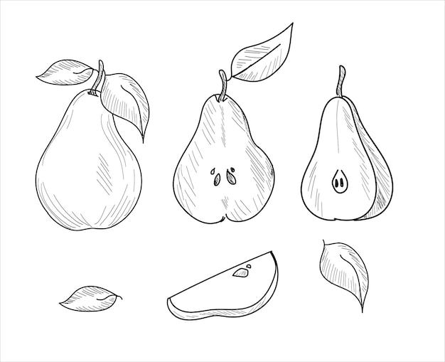 Vector seamless pattern of hand drawn pear.