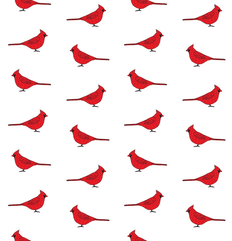 Vector seamless pattern of hand drawn red cardinals