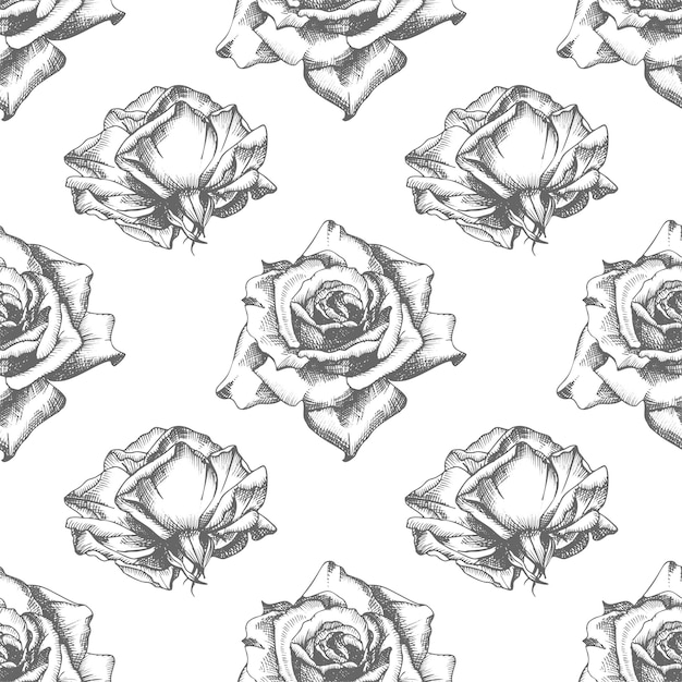 Vector seamless pattern hand drawn sketch roses detailed vintage botanical illuatration floral frame black silhouette isollated on white background