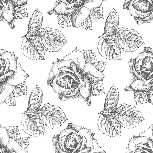 Vettore modello senza cuciture rose schizzo disegnato a mano illustrazione botanica vintage dettagliata cornice floreale sagoma nera isolata su sfondo bianco