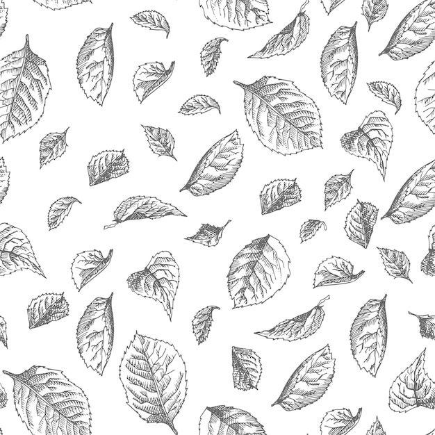 Seamless pattern Hand drawn sketch roses leaves Detailed vintage botanical illuatration Floral frame Black silhouette isollated on white background