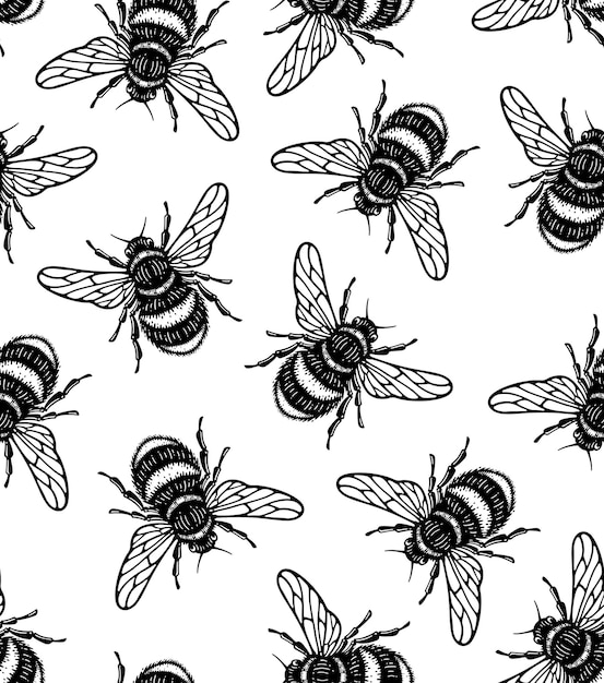 seamless pattern of honey bee in style doodle hand draw illustration