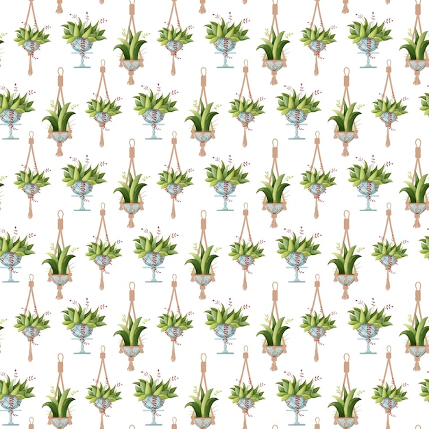 Vector seamless pattern houseplant and macrame plant growing in pots