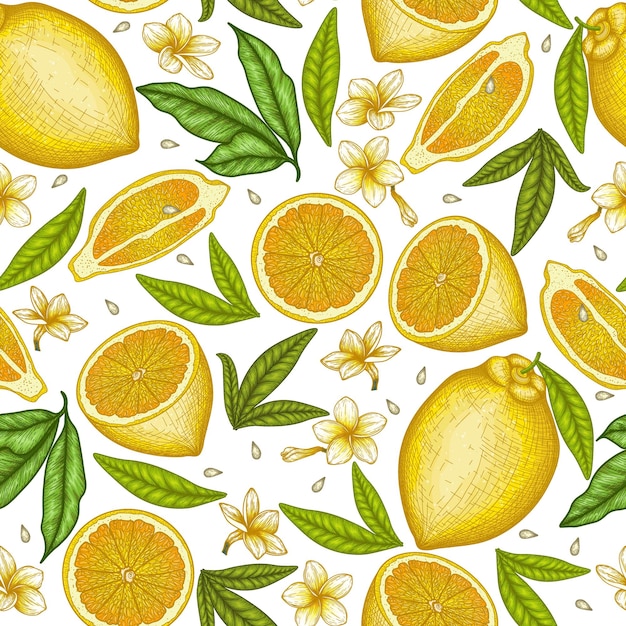 Вектор Бесшовный рисунок лимонных фруктов и листьев и цветов плюмерии