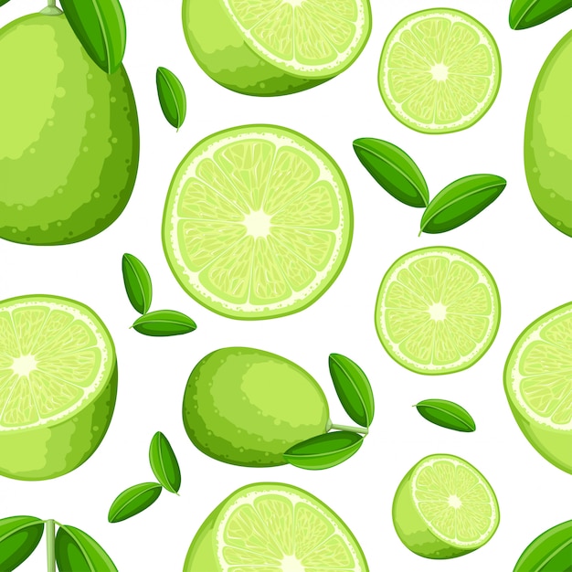 Seamless pattern of lime and slices of limes.  illustration of limes.  illustration for decorative poster, emblem natural product, farmers market. website page and mobile app