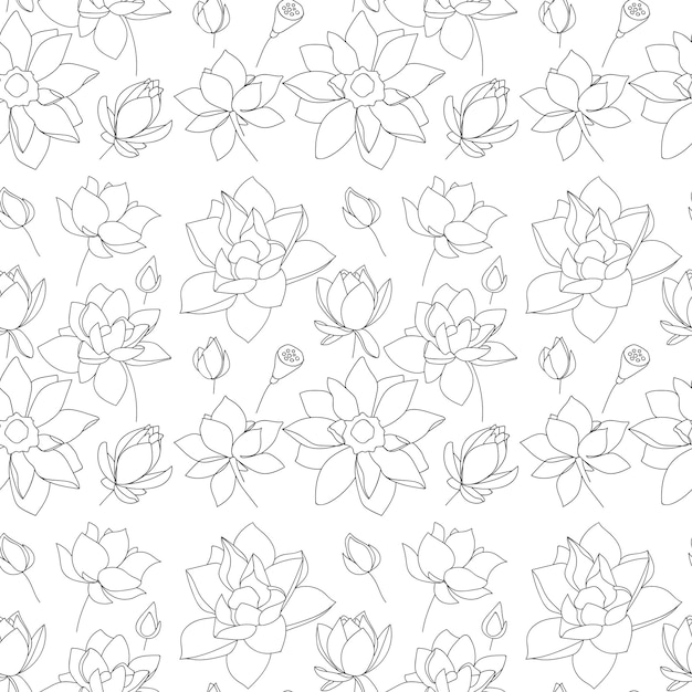 Seamless pattern of lotus flowers  Vector illustration
