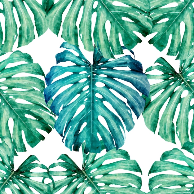 Vector seamless pattern monstera green leaves .