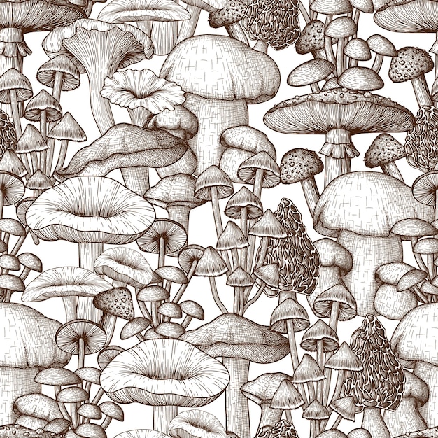 Вектор Бесшовные грибы в стиле гравировки линейные графические мухоморные лисички