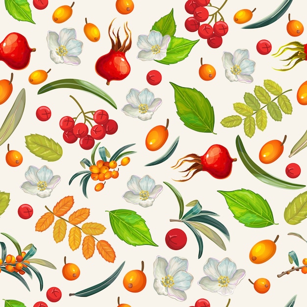 Seamless pattern natural organic berries.