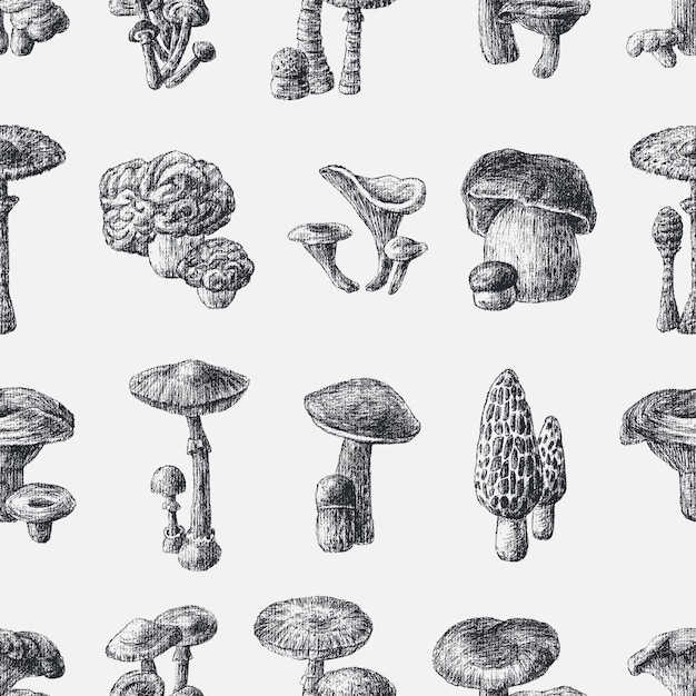 Вектор Бесшовный рисунок набора различных текстурированных рисунков съедобных и ядовитых грибов
