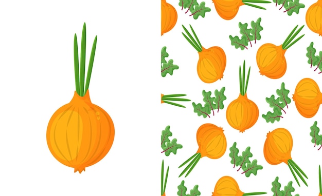 Vector seamless pattern onion with green onion cutaway onion top view isolated on background