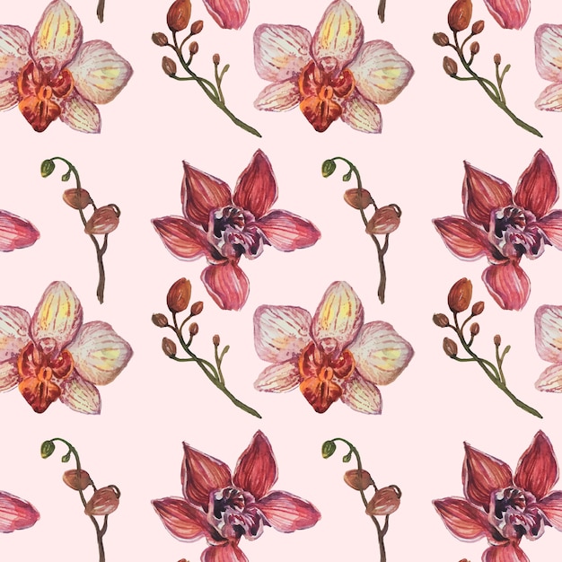 Vector seamless pattern orchid watercolor