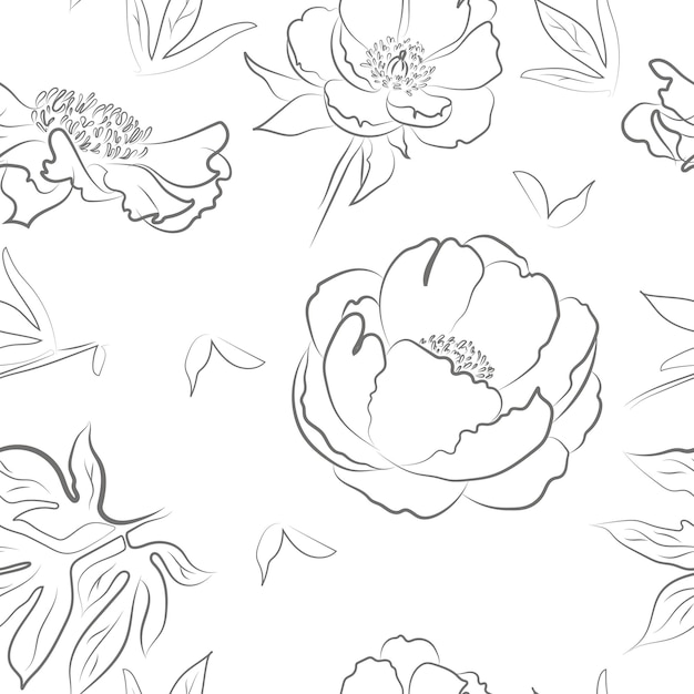 Vector seamless pattern peonies line drawing