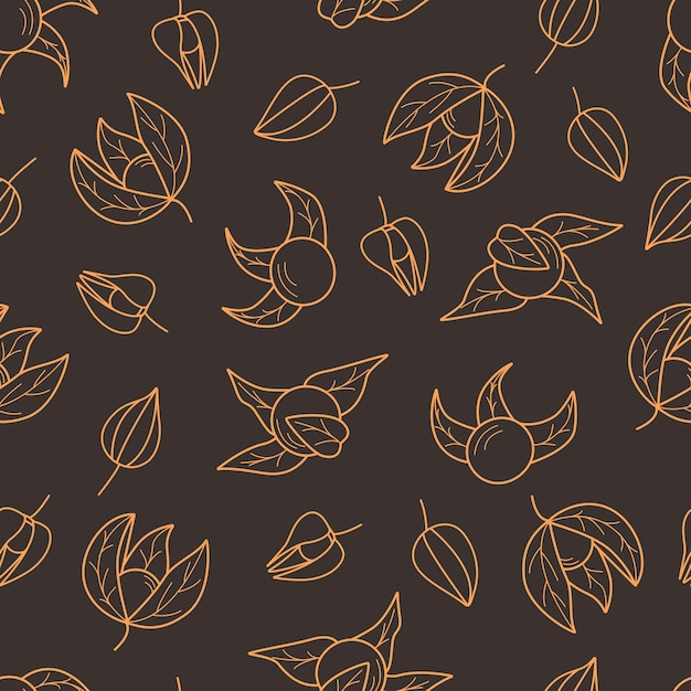 美しい秋の果実とホオズキの葉のホオズキの懐中電灯の壁紙の輪郭のシームレスなパターン