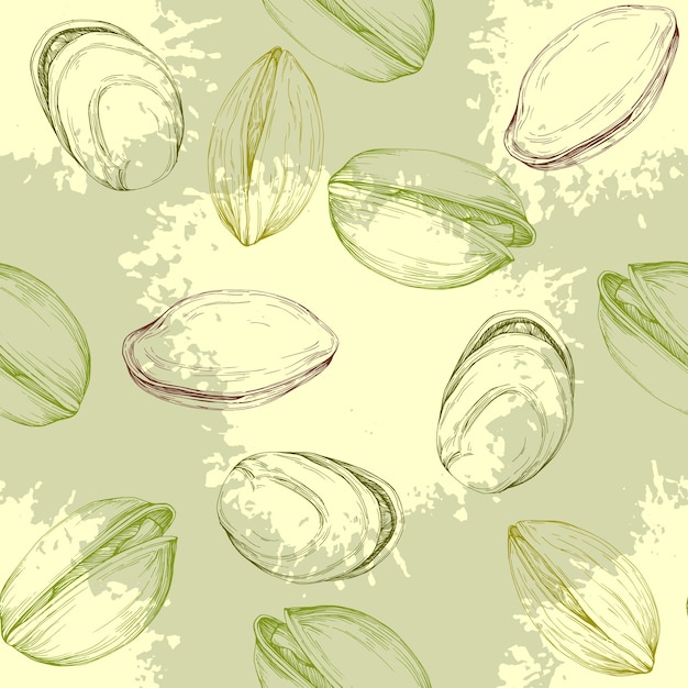 Vector seamless pattern pistachios drawn sketch