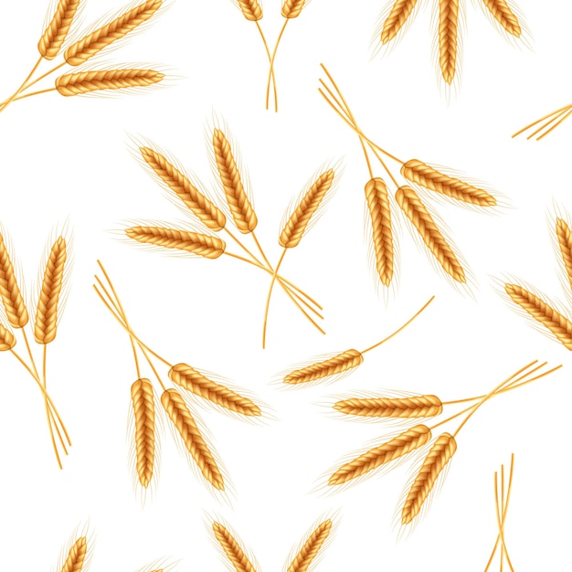 Vector seamless pattern of ripe spikelets of wheat .