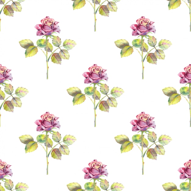 Seamless pattern of rose flowers and green leaves