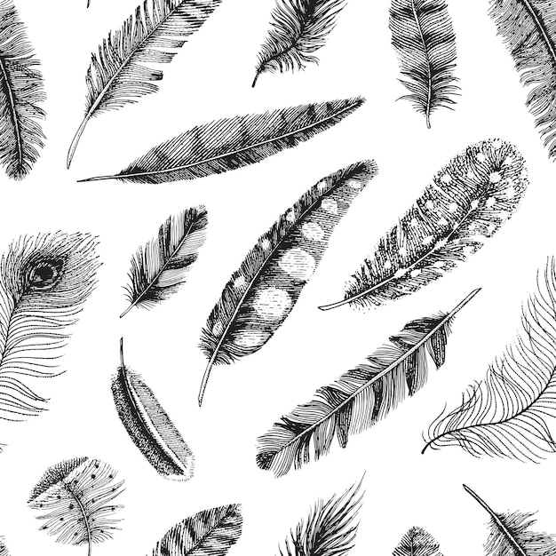 Seamless pattern Rustic realistic feathers of different birds owls peacocks ducks engraved hand drawn in old vintage sketch Vector illustration