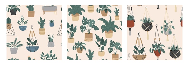 Seamless pattern set of tropical house plants