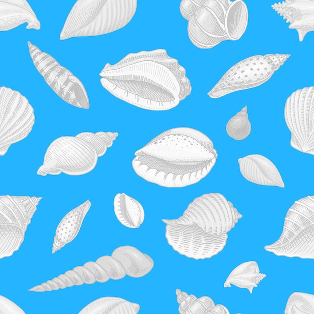 Vector seamless pattern shells or mollusca different forms sea creature engraved hand drawn in old sketch vintage style nautical or marine monster or food animals in the ocean