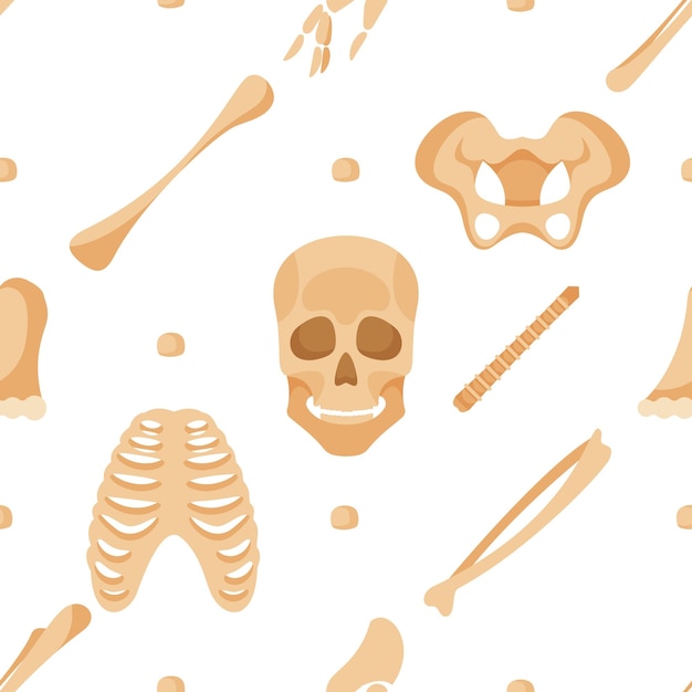 Seamless pattern showcasing skeletal parts skull rib cage bones and hips in a stylish and detailed design illustration